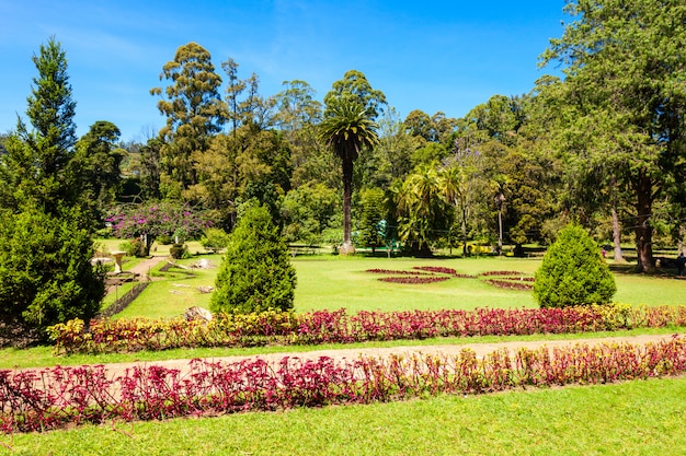 陽(yáng)江森林公園游玩攻略