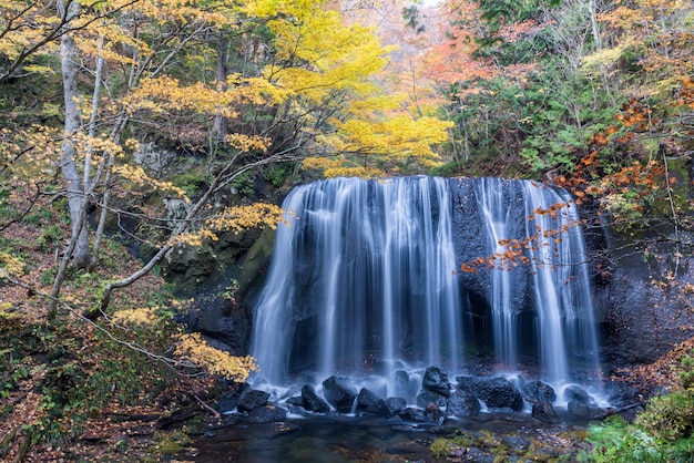 武漢到三峽瀑布旅游攻略