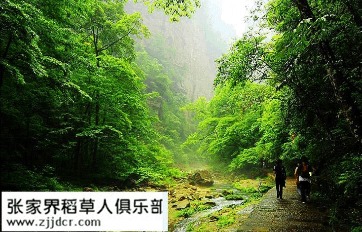 張家界自助游攻略全攻略帶你玩盡興