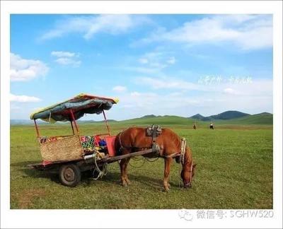 巴厘島蜜月游攻略 如何計(jì)劃蜜月旅行呢