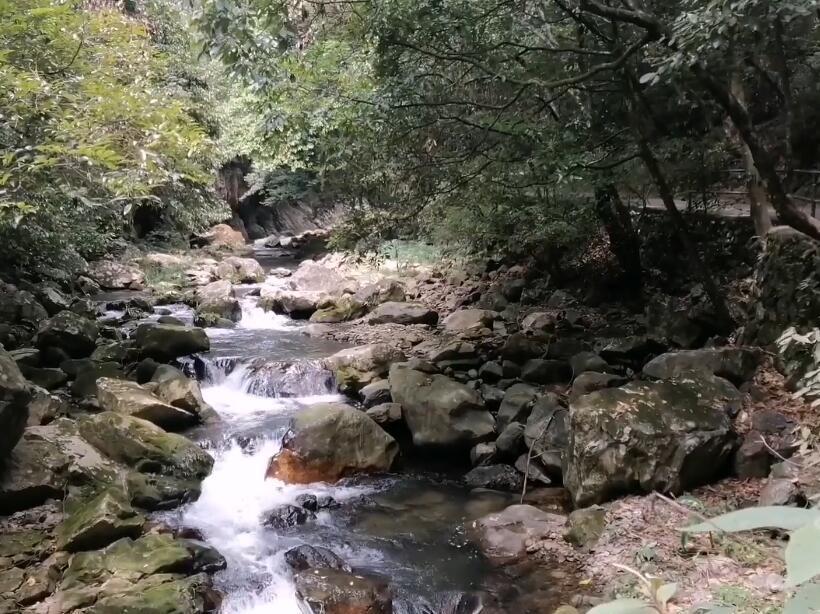 廣西西溪自駕游攻略