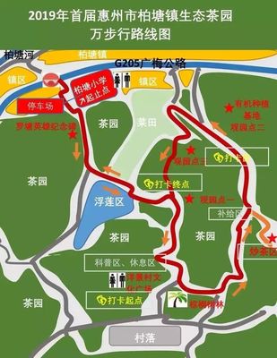 博羅 攻略