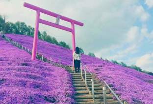上海到北海道4天自由行攻略