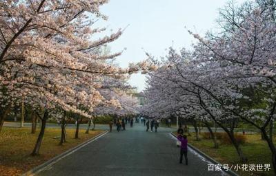 十二月份新疆旅游攻略 南京旅游攻略最新