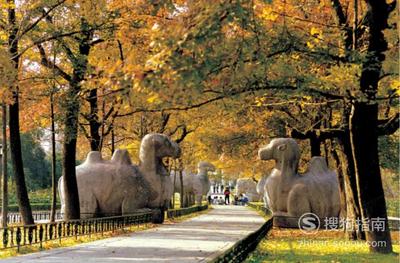 二月份南京旅游攻略