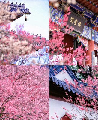 二月份南京旅游攻略